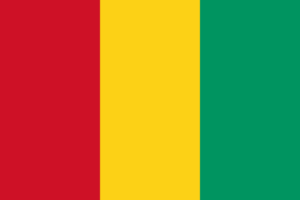 chauffeur service in Guinea
