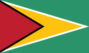 chauffeur service in Guyana