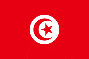 chauffeur service in Tunisia